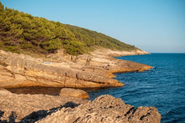 Bereketli Yeşillik ve Mavi Deniz ile Rocky Sahil Çizgisi