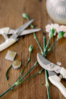 Bir Sanatçının Masası: Ikebana Araçları