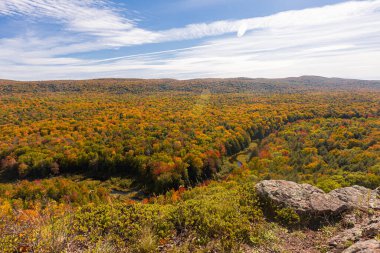 Uçsuz bucaksız orman sonbahar renkleriyle kayalıklara bakıyor..