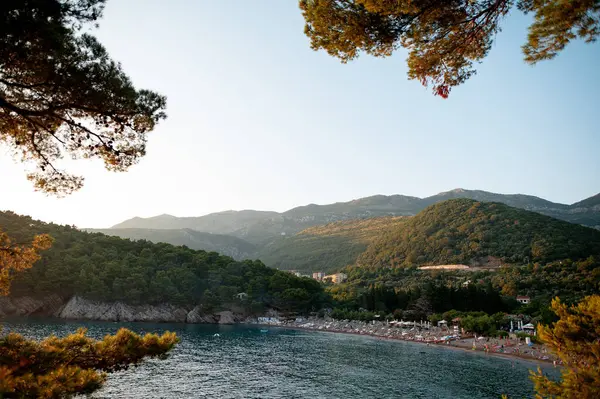 Sandy Beach ve Lush Hills ile Sakin Sahil Manzarası