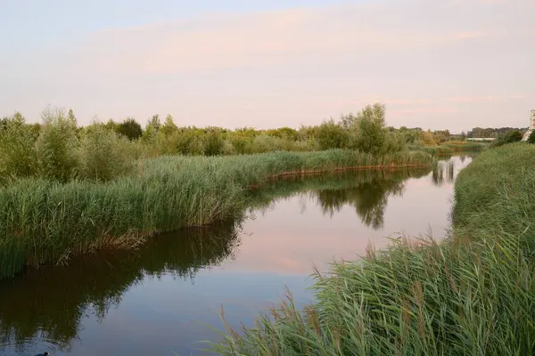 Gün batımında yeşil bitki örtüsünden akan sakin bir nehir.
