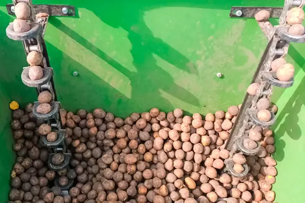 Otomatik olarak yere patates ekme aygıtı..