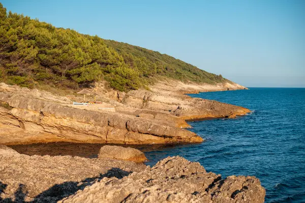 Bereketli Yeşillik ve Mavi Deniz ile Rocky Sahil Çizgisi
