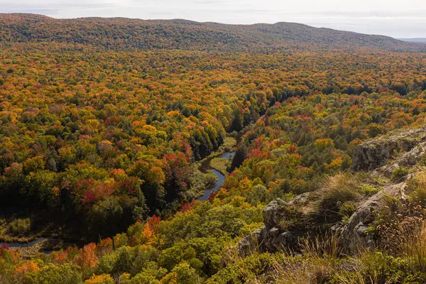 Yoğun sonbahar ormanı boyunca kıvrılan nehir kayalık çıkıntıdan görünüyor.