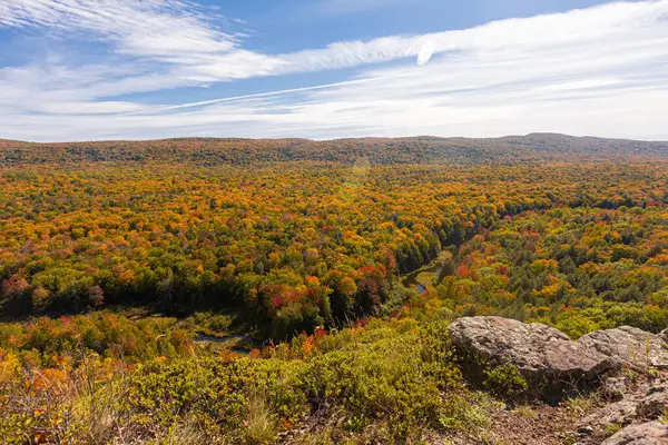 Uçsuz bucaksız orman sonbahar renkleriyle kayalıklara bakıyor..