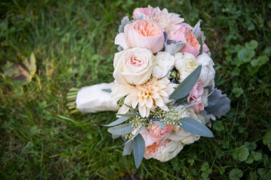 Şeftali ve Fildişi Düğün Çiçeği Çimende 