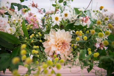 Şeftali çiçekleri ve yapraklarla çevrili