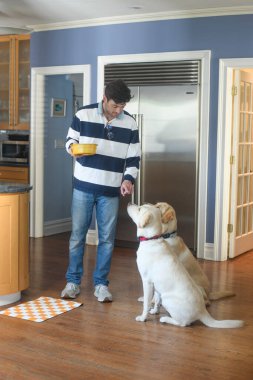 Yemek saatinde İşçi Köpeği