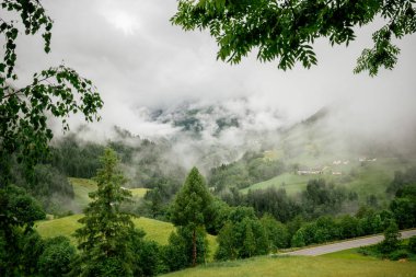 Avusturya Alplerinde yeşil otlakları olan puslu dağ vadisi
