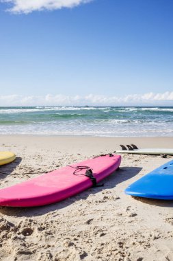 Okyanus dalgaları tarafından kumlu sahilde dinlenen renkli sörf tahtaları.