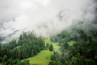 Avusturya Alplerinde yeşil otlakları olan puslu dağ vadisi