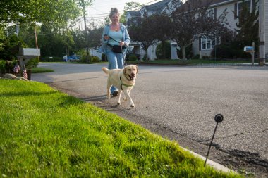 Civardaki laboratuvarda dolaşıyorum.
