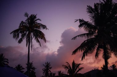 Palmiye ağaçlı dramatik Günbatımı Gökyüzü, Kuta Lombok