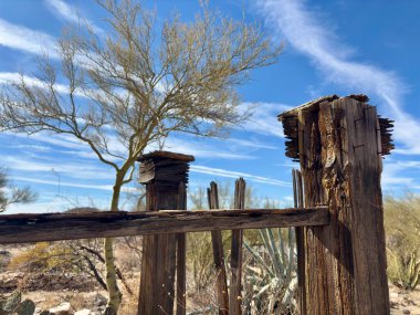 Çöl öncü mezarlığında ağaçlarla kaplanmış eski ahşap bir mezar.