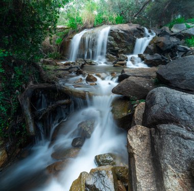 Ormanda kayalar ve ağaçlarla dolu bir şelale.