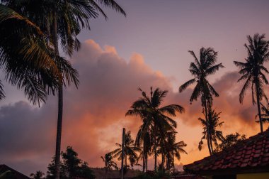 Sunset Over Roftops ve Palm Trees, Kuta Lombok