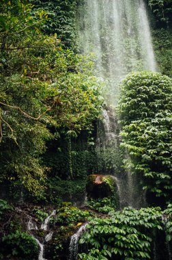 Benang Kelambu Şelalesi, Lombok, Endonezya