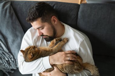 Kanepede yüksek açılı bir adam ve yavaşça İngiliz Shorthair kedisini tutuyor.