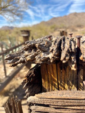 Çölde paslı çivilerle yıpranmış bir tahta direğe yakın çekim.