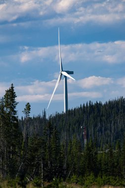 Rüzgar Türbini Mavi Gök Altında Ormanın Üzerinde Yükseliyor