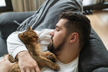 Yan gözle bakan adam kanepede uzanıyor ve yavaşça İngiliz kedisine sarılıyor.