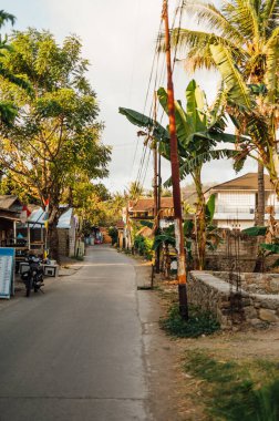 Palm Trees and Shops ile Sunny Village Yolu, Kuta Lombok