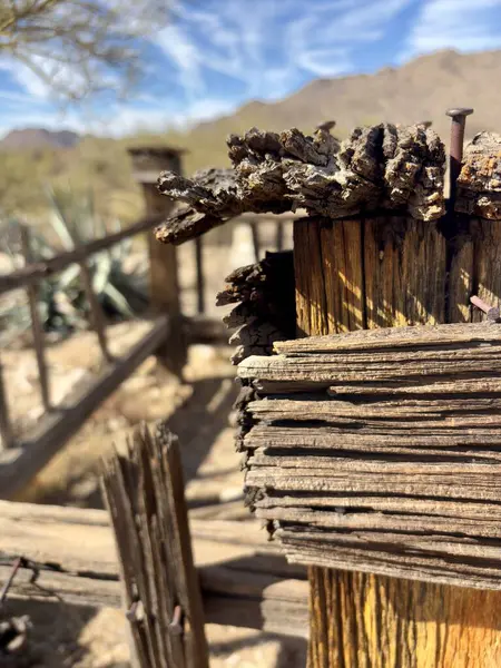 Çölde paslanmış çivileri olan çürümüş ahşap bir mezara yakın plan.