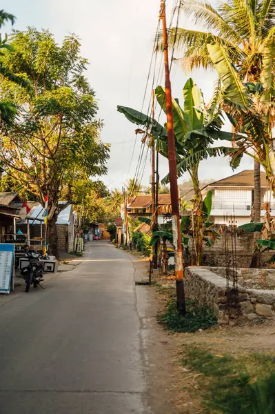 Palm Trees and Shops ile Sunny Village Yolu, Kuta Lombok