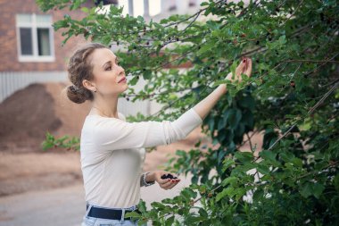 Bahçesindeki ağaçtan olgun dut toplayan bir kadın..