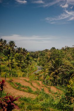 Tetebatu, Lombok 'ta Pirinç Terasları ve Tropikal Orman Eğrisi