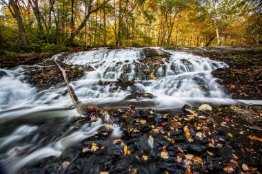 Pensilvanya 'nın Sonbaharda ki Buttermilk Şelalesi, Düşen Lea ile kaplı