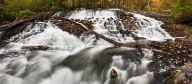 Sonbaharda dökülen yapraklarla kaplı tereyağı şelalesi.