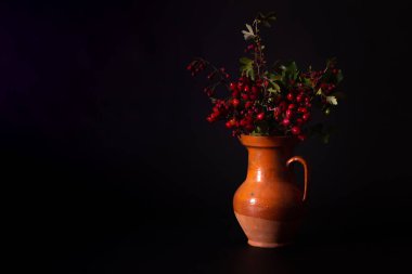 Kırmızı sonbahar dikenli böğürtlen buketi ve gül kalçalı eski bir c