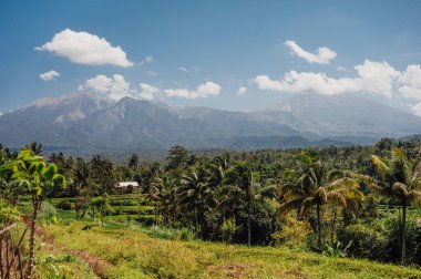 Tetebatu, Lombok tepelerinden Rinjani Dağı manzarası