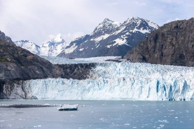 Alaska kıyı şeridindeki Glacier Körfezi Ulusal Parkı 'ndaki büyük buzullar