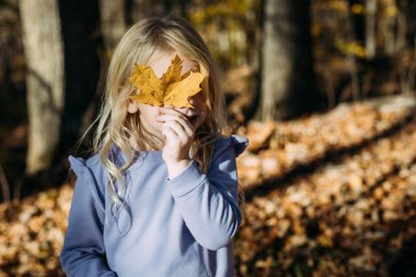 Sonbahar yürüyüşünde güz yaprağı tutan çocuk