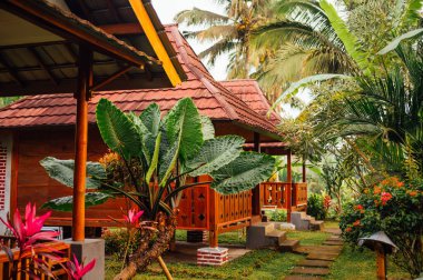 Tetebatu 'daki Tropikal Bahçeyle çevrili geleneksel ahşap bungalovlar