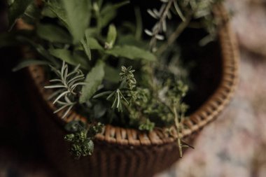 İçinde taze bitkiler olan bir sepet..