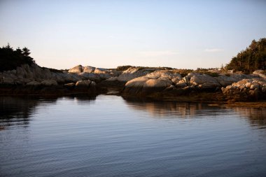 Sakin okyanus suyu, kayalık ağaçlı sahille buluşur.