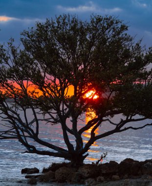 Sahilde gün batımı Miami Florida