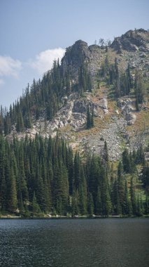 Orman ve göl ile sakin dağ manzarası