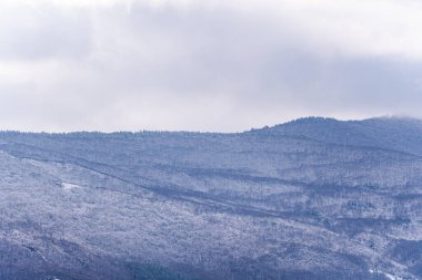 Kışın ormanla kaplı dağ yamacı