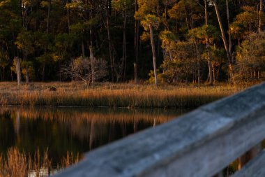 Bataklığın karşısındaki rıhtımdan bir manzara.