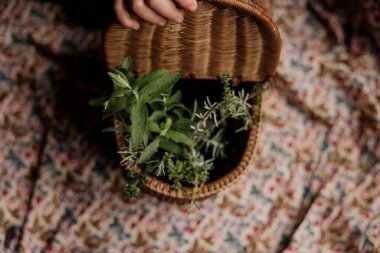 İçinde taze bitkiler olan dokuma sepetini tutuyorum..