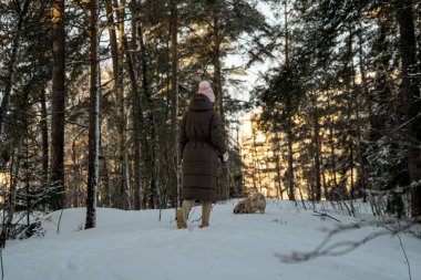 Karlı ormanda köpeğiyle yürüyen pembe şapkalı bir kadın.