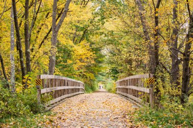 Ashuelot Demiryolu üzerindeki bir köprüyü çevreleyen sonbahar yaprakları