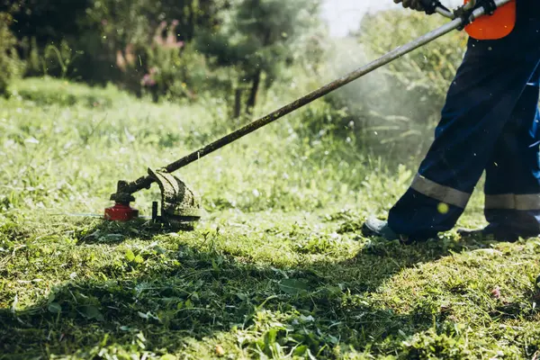 Low section of man mowing grassy field in yard during sunset