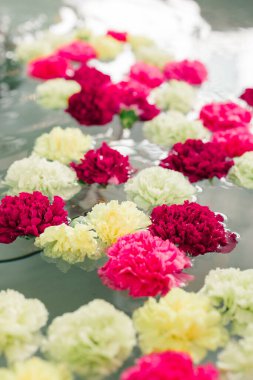 Suyun üzerinde renkli yüzen çiçekler canlı ve huzurlu bir manzara yaratıyor..