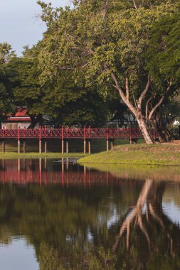 Göldeki bir ağacın aynası.