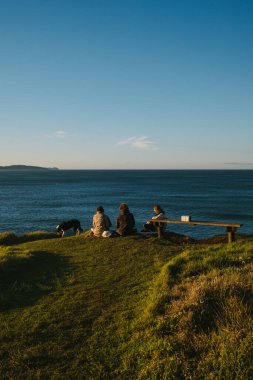 Friends admiring ocean view from scenic clifftop at sunset with dog